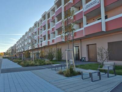 Apartment provisionsfrei mieten in 1220 Wien