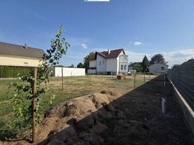 Haus mit Garten kaufen in 2463 Stixneusiedl (Bild 5)