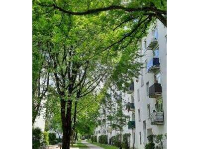 Mietwohnung in 4030 Linz (Bild 4)