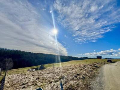 Grundstück kaufen in 8301 Laßnitzhöhe