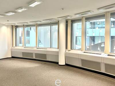 Gewerbeobjekt mieten in 1200 Wien (Bild 4)