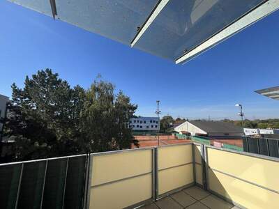 Terrassenwohnung mieten in 2232 Deutsch (Bild 5)