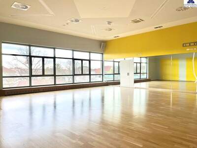 Gewerbeobjekt mieten in 2320 Schwechat (Bild 3)