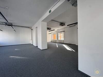 Gewerbeobjekt mieten in 1100 Wien (Bild 4)