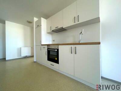 Wohnung mieten in 1100 Wien (Bild 4)