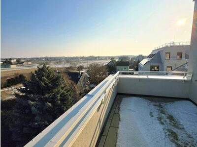 Terrassenwohnung kaufen in 1220 Wien (Bild 1)