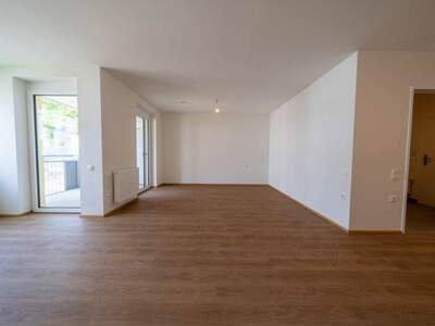 Terrassenwohnung mieten in 2104 Spillern (Bild 2)