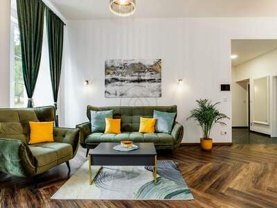 Altbauwohnung kaufen in 38226 Horní Planá (Bild 2)