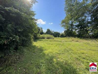 Grundstück kaufen in 3413 Hintersdorf (Bild 3)