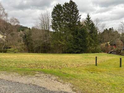 Grundstück kaufen in 4362 Bad Kreuzen