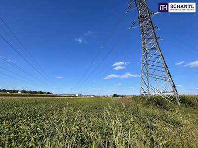 Grundstück kaufen in 8431 Gralla (Bild 2)