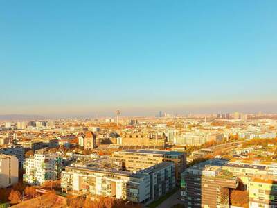 Wohnung kaufen in 1100 Wien