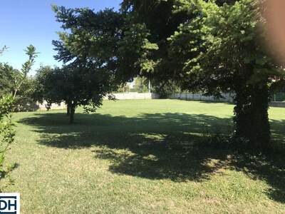 Haus kaufen in 33051 Aquileia (Bild 3)