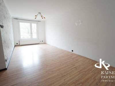 Wohnung kaufen in 1100 Wien