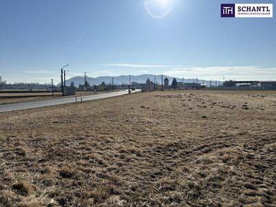 Grundstück kaufen in 8402 Werndorf (Bild 3)