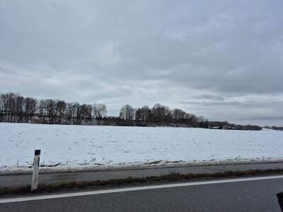 Land- und Forstwirtschaft kaufen in 5274 Burgkirchen
