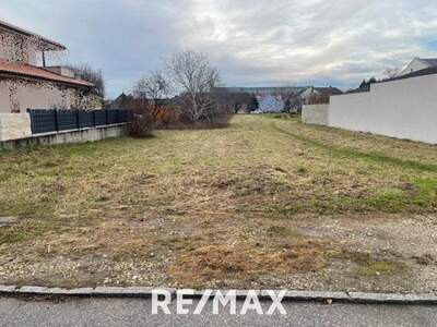 Grundstück kaufen in 7100 Neusiedl (Bild 4)