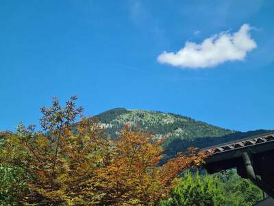 Grundstück kaufen in 5026 Salzburg