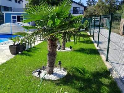 Einfamilienhaus kaufen in 2230 Gänserndorf (Bild 3)