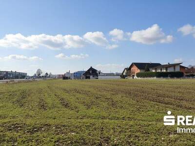 Grundstück kaufen in 4614 Marchtrenk (Bild 4)