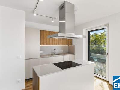 Terrassenwohnung mieten in 1200 Wien