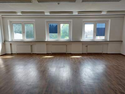 Gewerbeobjekt mieten in 3370 Ybbs (Bild 2)