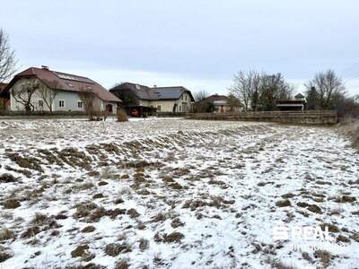 Grundstück kaufen in 4070 Pupping (Bild 4)
