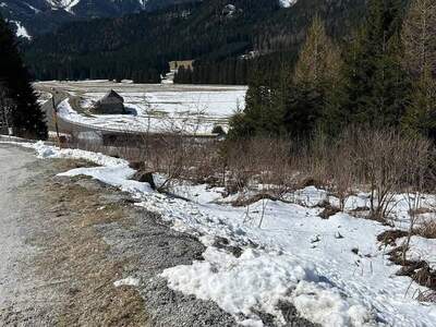 Grundstück kaufen in 8785 Hohentauern