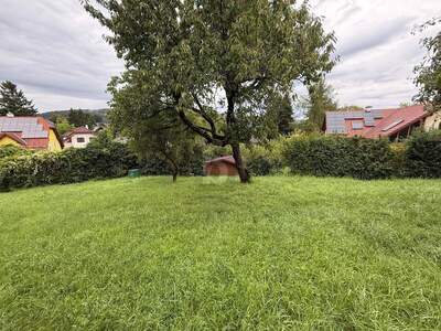 Grundstück kaufen in 2384 Breitenfurt (Bild 4)