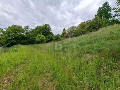 Grundstück kaufen in 9560 Feldkirchen (Bild 2)
