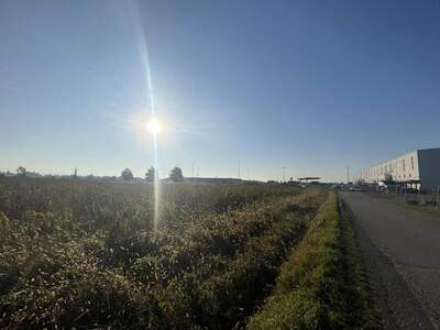 Grundstück kaufen in 8054 Seiersberg (Bild 3)