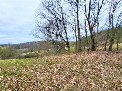 Grundstück kaufen in 8380 Grieselstein (Bild 2)