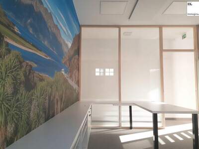 Gewerbeobjekt mieten in 5310 Mondsee (Bild 3)