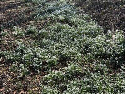 Grundstück kaufen in 8052 Graz (Bild 2)