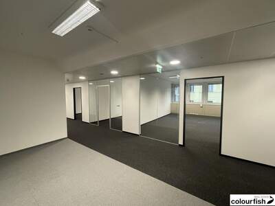 Gewerbeobjekt mieten in 1050 Wien (Bild 3)