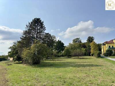 Grundstück kaufen in 8344 Bad Gleichenberg