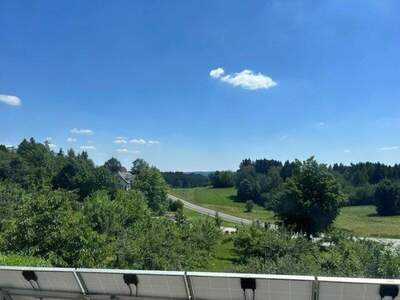 Einfamilienhaus kaufen in 3632 Traunstein (Bild 3)