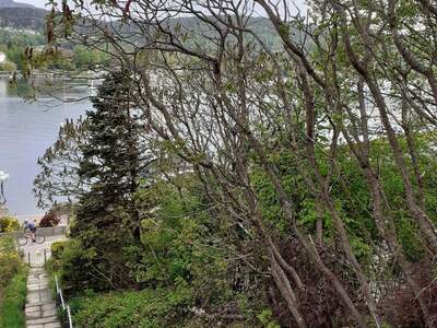 Haus mit Garten mieten in 9220 Velden (Bild 1)