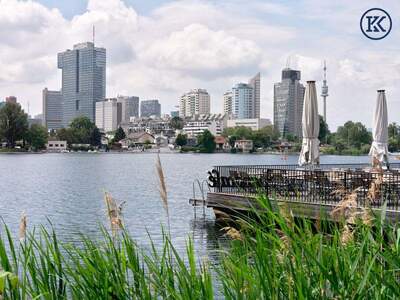 Haus kaufen in 1220 Wien