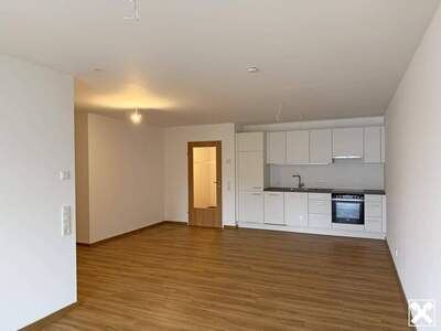 Wohnung mieten in 6900 Bregenz