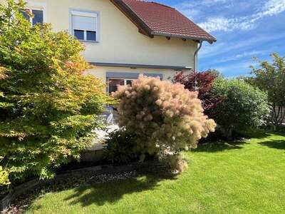 Mehrfamilienhaus kaufen in 2353 Guntramsdorf (Bild 1)