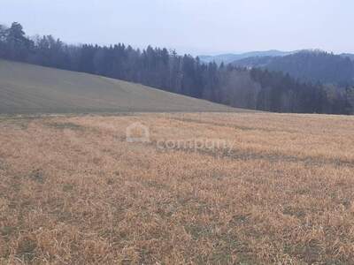 Gewerbeobjekt kaufen in 2811 Wiesmath