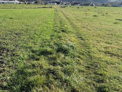 Gewerbeobjekt kaufen in 8753 Sillweg