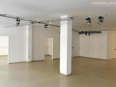 Gewerbeobjekt mieten in 1090 Wien (Bild 3)