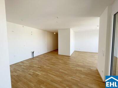 Terrassenwohnung kaufen in 1100 Wien (Bild 3)