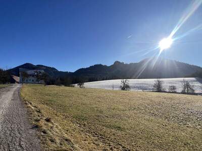 Gewerbeobjekt kaufen in 8921 Landl