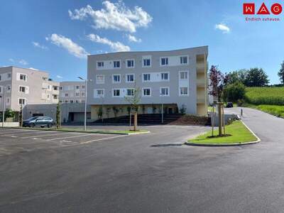 Halle / Lager / Produktion kaufen in 4222 Sankt Georgen (Bild 1)