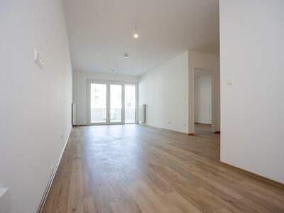 Terrassenwohnung kaufen in 2700 Wr. Neustadt (Bild 2)