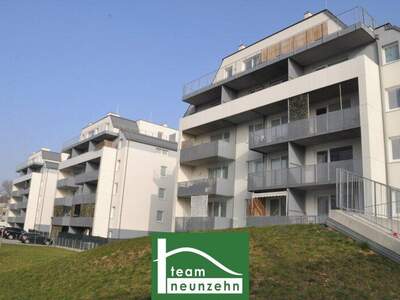 Terrassenwohnung mieten in 3100 St. Pölten (Bild 1)