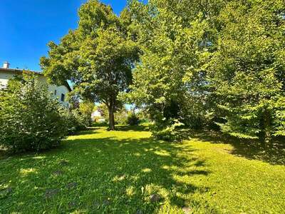 Grundstück kaufen in 2130 Mistelbach